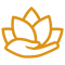 icon2