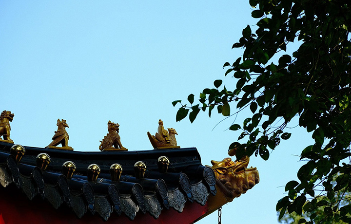 跟黑悟空一样让人上头的，还有峨眉山那些古建！